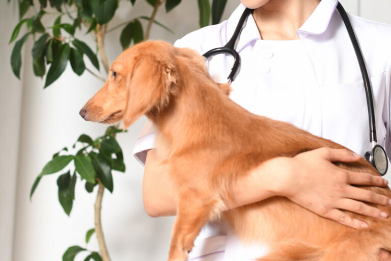 Read more about the article 新しい医療