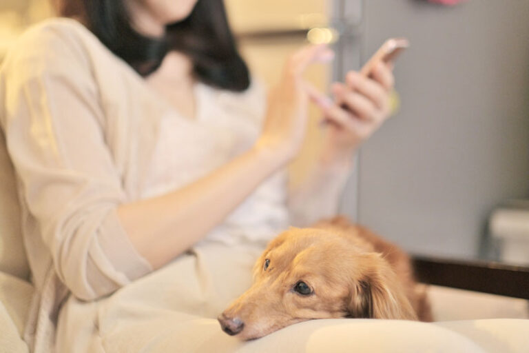 Read more about the article 3月の土曜診療日のお知らせ